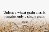 5th_sunday_lent_b_1_1920x700