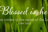 Sunday_06_PalmSunday_cycleC_OT_2_1920x700