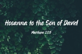 palm_sunday_a_2_1920x700