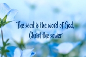 11th_sunday_b_1_1920x700