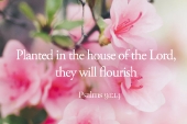 11th_sunday_b_2_1920x700