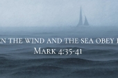 thesunday_12_cycleb_1920_700