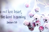 advent_sunday_3_cyclea_2_1920x700