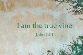 5th_sunday_easter_b_1_1920x700