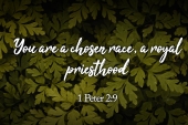 easter_sunday_5_cyclea_3_1920x700