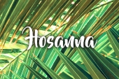 palm_sunday_b_1_1920x700