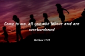 14_sunday_cyclea_1_1920x700