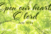 16th-sunday-in-ordinary-time-cycle-c