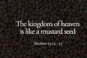 16th_sunday_2_a_1920x700