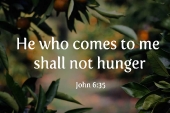 18th_sunday_c_1920x700