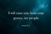 5th_sunday_lent_a_3_1920x700