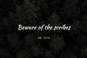 32nd_sunday_b_2_1920x700