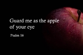 32nd_sunday_c_1_1920x700