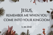 christ_is_king_cyclec_ot_1_1920x700