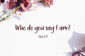 24th_sunday_b_1_1920x700